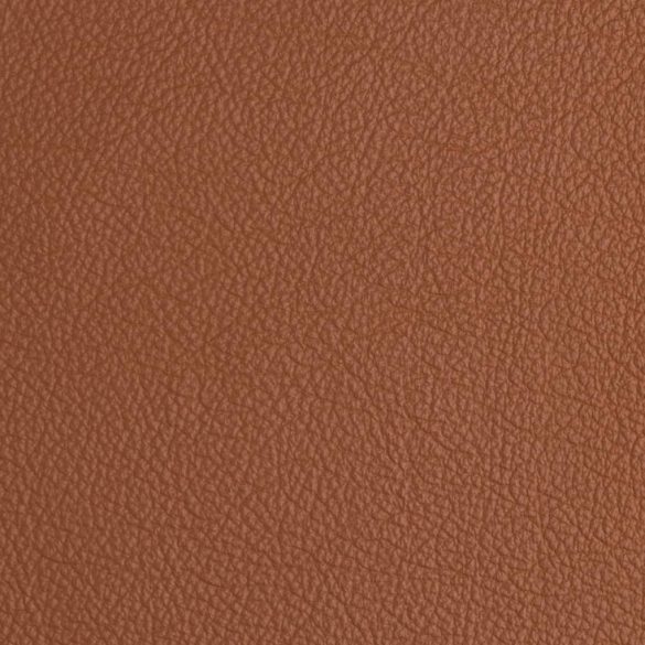 Montana Camel 120031 Bőr